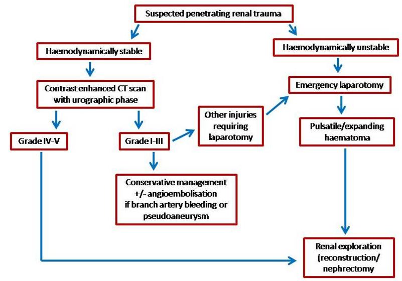Current Management of Renal Trauma